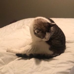 Meet your Posher, Tyler